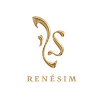 Renesim logo 3d 2012 1000x1000 rgb hell