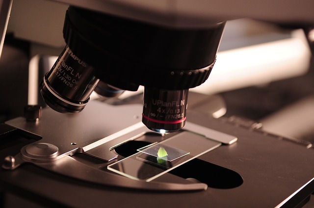 microscope-385364_640
