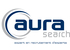 Logo aurasearch pantone